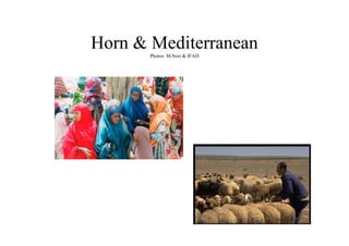 Horn & Mediterranean
       Photos: M.Nori & IFAD
 