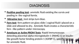 Pooling Sign Prom PPROM & PROM AMOS.pptxbvbvvvvvvvvvbbnmmmmm | PPTX