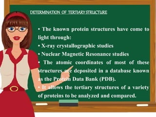 DETERMINATION OF TERTIARYSTRUCTURE
• The known protein structures have come to
light through:
• X-ray crystallographic studies
• Nuclear Magnetic Resonance studies
• The atomic coordinates of most of these
structures are deposited in a database known
as the Protein Data Bank (PDB).
• It allows the tertiary structures of a variety
of proteins to be analyzed and compared.
 