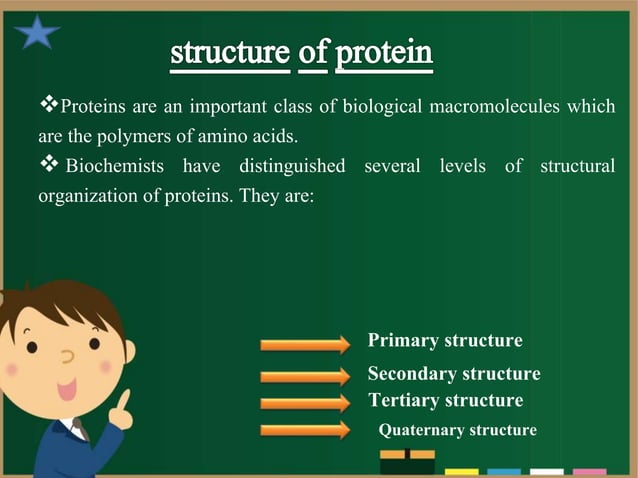 protein structure ppt by manikant mani | PPT