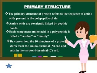 PRIMARY STRUCTURE
The primary structure of protein refers to the sequence of amino
acids present in the polypeptide chain.
Amino acids are covalently linked by peptide
bonds.
Each component amino acid in a polypeptide is
called a “residue” or “moiety”
By convention, the 10 structure of a protein
starts from the amino-terminal (N) end and
ends in the carboxyl-terminal (C) end.
 