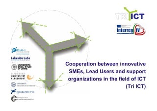 Cooperation between innovative
 SMEs, Lead Users and support
 organizations in the field of ICT
                          (Tri ICT)
 
