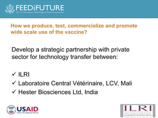 Production and delivery of thermotolerant vaccine against peste des petits ruminants in the Sahel: Case of a successful public-private partnership in Mali