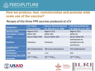 Production and delivery of thermotolerant vaccine against peste des petits ruminants in the Sahel: Case of a successful public-private partnership in Mali