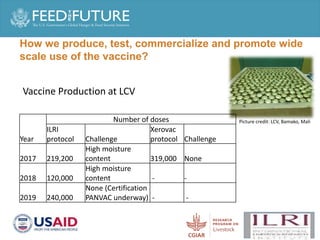 Production and delivery of thermotolerant vaccine against peste des petits ruminants in the Sahel: Case of a successful public-private partnership in Mali