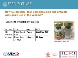 Production and delivery of thermotolerant vaccine against peste des petits ruminants in the Sahel: Case of a successful public-private partnership in Mali