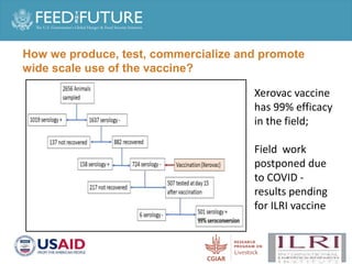 Production and delivery of thermotolerant vaccine against peste des petits ruminants in the Sahel: Case of a successful public-private partnership in Mali