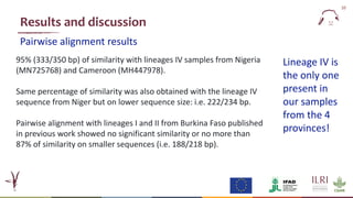  Epidemiology of peste des petits ruminants virus in West Africa: Is lineage IV replacing lineage II in Burkina Faso?