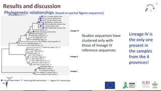  Epidemiology of peste des petits ruminants virus in West Africa: Is lineage IV replacing lineage II in Burkina Faso?