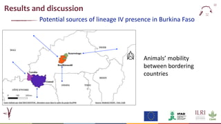  Epidemiology of peste des petits ruminants virus in West Africa: Is lineage IV replacing lineage II in Burkina Faso?