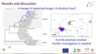  Epidemiology of peste des petits ruminants virus in West Africa: Is lineage IV replacing lineage II in Burkina Faso?
