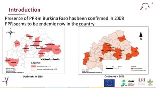  Epidemiology of peste des petits ruminants virus in West Africa: Is lineage IV replacing lineage II in Burkina Faso?