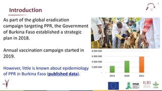  Epidemiology of peste des petits ruminants virus in West Africa: Is lineage IV replacing lineage II in Burkina Faso?