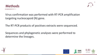  Epidemiology of peste des petits ruminants virus in West Africa: Is lineage IV replacing lineage II in Burkina Faso?