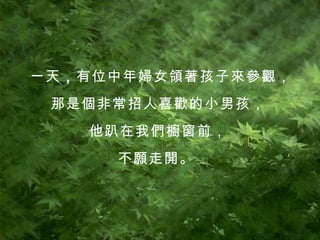 一天 ， 有位中年婦女領著孩子來參觀， 那是個非常招人喜歡的小男孩， 他趴在我們櫥窗前， 不願走開。   