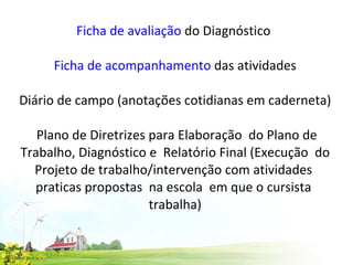 Ficha de avaliação  do Diagnóstico  Ficha de acompanhamento  das atividades Diário de campo (anotações cotidianas em caderneta)  Plano de Diretrizes para Elaboração  do Plano de Trabalho, Diagnóstico e  Relatório Final (Execução  do Projeto de trabalho/intervenção com atividades  praticas propostas  na escola  em que o cursista  trabalha)   