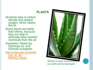 PLANTS
All plants take in carbon
   dioxide and release
   oxygen, which cleans
   the air.
Some plants are better
   than others, because
   they are able to
   eliminate other harmful
   chemicals from the air.
Examples: Peace lily,
   Flamingo lily, and
   Chinese evergreen
http://www.ask.com/wiki/
   List_of_air-
   filtering_plants
                              Without a clean environment,
                              our earth will be destroyed.
 