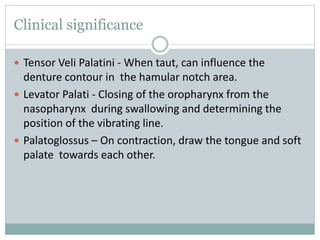 Clinical significance
 Tensor Veli Palatini - When taut, can influence the
denture contour in the hamular notch area.
 Levator Palati - Closing of the oropharynx from the
nasopharynx during swallowing and determining the
position of the vibrating line.
 Palatoglossus – On contraction, draw the tongue and soft
palate towards each other.
 