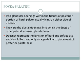 FOVEA PALATINI
 Two glandular openings within the tissues of posterior
portion of hard palate, usually lying on either side of
midline.
 They are the ductal openings into which the ducts of
other palatal mucosal glands drain
 Doesnot represent the junction of hard and soft palate
and should be used only as a guideline to placement of
posterior palatal seal.
 