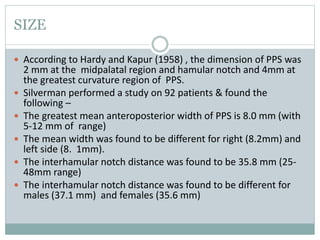 SIZE
 According to Hardy and Kapur (1958) , the dimension of PPS was
2 mm at the midpalatal region and hamular notch and 4mm at
the greatest curvature region of PPS.
 Silverman performed a study on 92 patients & found the
following –
 The greatest mean anteroposterior width of PPS is 8.0 mm (with
5-12 mm of range)
 The mean width was found to be different for right (8.2mm) and
left side (8. 1mm).
 The interhamular notch distance was found to be 35.8 mm (25-
48mm range)
 The interhamular notch distance was found to be different for
males (37.1 mm) and females (35.6 mm)
 