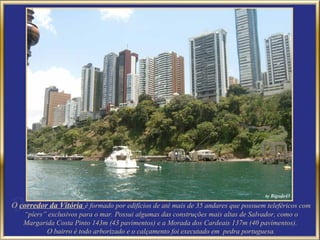 O corredor da Vitória é formado por edifícios de até mais de 35 andares que possuem teleféricos com
   “píers” exclusivos para o mar. Possui algumas das construções mais altas de Salvador, como o
   Margarida Costa Pinto 143m (43 pavimentos) e a Morada dos Cardeais 137m (40 pavimentos).
          O bairro é todo arborizado e o calçamento foi executado em pedra portuguesa.
 