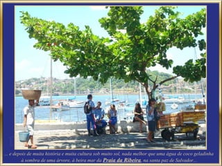 ... e depois de muita história e muita cultura sob muito sol, nada melhor que uma água de coco geladinha
          à sombra de uma árvore, à beira mar da Praia da Ribeira, na santa paz de Salvador...
 