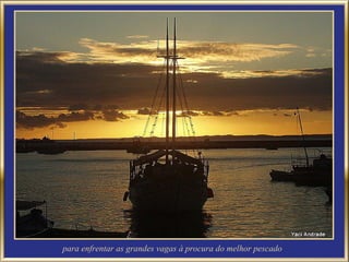 para enfrentar as grandes vagas à procura do melhor pescado
 