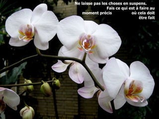 Ne laisse pas les choses en suspens.  Fais ce qui est à faire au moment précis  où cela doit être fait 