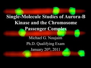Single-Molecule Studies of Aurora-B
   Kinase and the Chromosome
        Passenger Complex
         Michael G. Noujaim
        Ph.D. Qualifying Exam
          January 20th, 2011
 