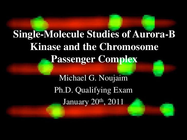 phd singles phd singles