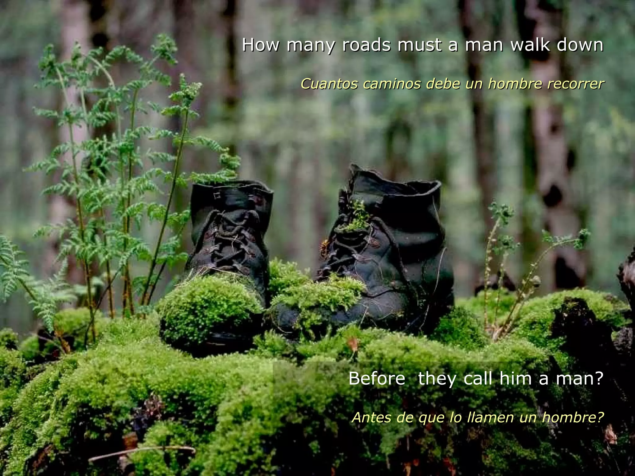 How many roads must a man walk down Cuantos caminos debe un hombre recorrer Before  they call him a man? Antes de que lo llamen un hombre? 