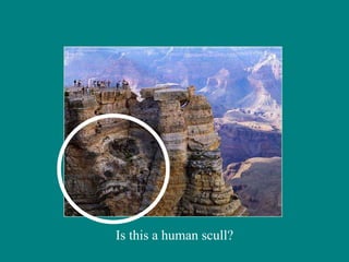 Is this a human scull? 