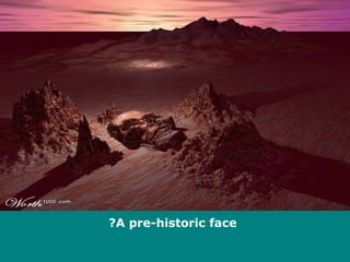 A pre-historic face? 