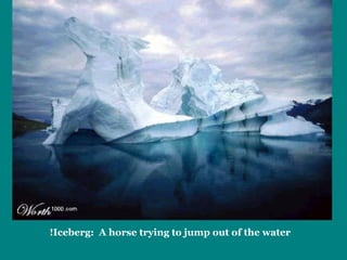 Iceberg:  A horse trying to jump out of the water! 