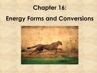 Chapter 16: Energy Forms and Conversions 