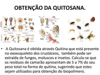 OBTENÇÃO DA QUITOSANA.
• A Quitosana é obtida através Quitina que está presente
no exoesqueleto dos crustáceos, também pode ser
extraída de fungos, moluscos e insetos. Calcula-se que
os resíduos de camarão apresentam de 5 a 7% do seu
peso total na forma de quitina, sugerindo que estes
sejam utilizados para obtenção do biopolímero.
 