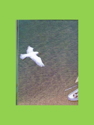 Pps amor, que nojo! michael catchpool & victoria ball  2