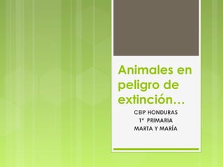 Animales en
peligro de
extinción…
CEIP HONDURAS
1º PRIMARIA
MARTA Y MARÍA

 