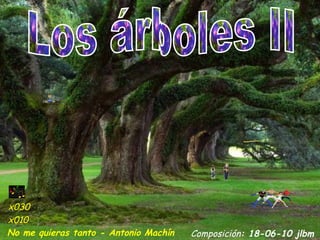 Los árboles II Composición : 18-06-10 jlbm x030 x010 No me quieras tanto - Antonio Machín 