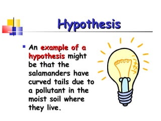 Hypothesis
   An example of a
    hypothesis might
    be that the
    salamanders have
    curved tails due to
    a pollutant in the
    moist soil where
    they live.
 