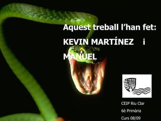 Aquest treball l’han fet: KEVIN MARTÍNEZ  i  MANUEL  CEIP Riu Clar  6è Primària Curs 08/09 