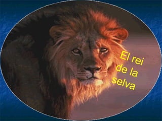 El rei de la selva 