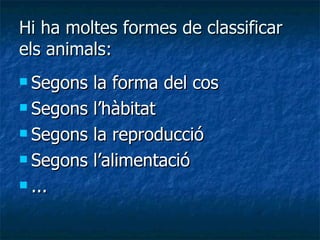 Hi ha moltes formes de classificar els animals: Segons la forma del cos Segons l’hàbitat Segons la reproducció Segons l’alimentació ... 