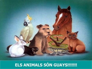 ELS ANIMALS SÓN GUAYS!!!!!!! 