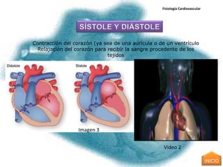 Fisiología Cardiovascular




Contracción del corazón (ya sea de una aurícula o de un ventrículo
 Relajación del corazón para recibir la sangre procedente de los
                             tejidos




                  Imagen 3


                                                    Video 2

                                                                               INICIO
 