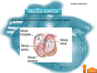 Fisiología Cardiovascular




Que separa el ventrículo izquierdo de la arteria aorta.




                                                                              A
                                                                              t
                                                                              r
                                                                              a
                                                                              s
                                                                                      Inicio
 