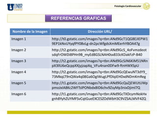 Fisiología Cardiovascular



                      REFERENCIAS GRAFICAS

Nombre de la Imagen                       Dirección URL/
Imagen 1              http://t0.gstatic.com/images?q=tbn:ANd9GcT1QG8EJIEPW1
                      9EP1kNvUYyqfPY08vLg-dn2pcWfgdsXmMEerhYBOA47g
Imagen 2              http://t2.gstatic.com/images?q=tbn:ANd9GcS_4oFvmzdeot
                      sdqFrOWDi8PHn9B_myEd8GSLNAH0sx833cKDakFzP-B40
Imagen 3              http://t2.gstatic.com/images?q=tbn:ANd9GcSJN6KiM51NRn
                      pX3llU6eQcppXXjyjzapXq_VFu4nan0DFw9-ftnHWXSpU
Imagen 4              http://t2.gstatic.com/images?q=tbn:ANd9GcQEwuNT3dY9_
                      73MkqLT9nQWa4q08Ga6OgIWugLPfDlqiEHDxdNDmKmReg
Imagen 5              http://t1.gstatic.com/images?q=tbn:ANd9GcQaZjEWUtUWp
                      pmoJxIA8Kc2WFTslPONbdx8ID6chv9ZsyMp3nixDjiml7Q
Imagen 6              http://t1.gstatic.com/images?q=tbn:ANd9GcTXDcymNokHx
                      gnh8YyhZUYMFSvCqtGueEXCESZOdWbH3C9VZSALMVF4ZQ
 