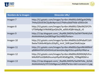 Fisiología Cardiovascular




Nombre de la Imagen                       Dirección URL/
Imagen 7              http://t2.gstatic.com/images?q=tbn:ANd9GcSkROgokGN9p
                      7HAa32lUEl3tCDjzBcNprUoL57hbhuG6dTh0d-sE9S5n3A
Imagen 8              http://t3.gstatic.com/images?q=tbn:ANd9GcTjNeilN25FCFh
                      UTSMlpBgUVIlk0tBQyxQXa2N_xdS0cXQ8Iridqcj6_r0
Imagen 9              http://2.bp.blogspot.com/_RsyKBL2MDYk/SaOWYTAHKiI/AA
                      AAAAAAAeA/psG803qpF3o/s400/Partes+
Imagen 10             http://t2.gstatic.com/images?q=tbn:ANd9GcSzDPo6aFE1dV
                      9wlw7UkI6v4kSptIu3JSqPij_mvV_fofk1pwCHoKUasjw
Imagen 11             http://t1.gstatic.com/images?q=tbn:ANd9GcQqmRKANfMnf
                      qR8RAHFNYUOVEhHUoFskmGAcJXgVD3zLupXHfyiYRtd-w
Imagen 12             http://t2.gstatic.com/images?q=tbn:ANd9GcRiDlDGNjFzFco
                      M4zRtPUzJQMkShcumyHfyofC4OdQgZDb_YZ9bgtRZb0-e
Imagen 13             http://2.bp.blogspot.com/_RsyKBL2MDYk/SaOWYsKe_6I/AA
                      AAAAAAAeQ/HY210zNgeuo/s400/Partes+del+corazon+2.jpg
 