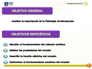 Fisiología Cardiovascular
 