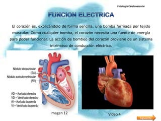 Fisiología Cardiovascular




 El corazón es, explicándolo de forma sencilla, una bomba formada por tejido
 muscular. Como cualquier bomba, el corazón necesita una fuente de energía
para poder funcionar. La acción de bombeo del corazón proviene de un sistema
                     intrínseco de conducción eléctrica.




                     Imagen 12                       Video 4
                                                                               Siguiente
 